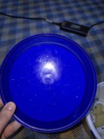 57259.jpg