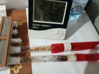 IMG_20251007_203039.jpg