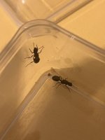 IMG_3619.jpeg