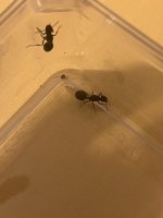 IMG_3620.jpeg