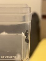 IMG_3624.jpeg