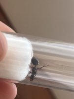 IMG_3629.jpeg