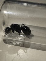 IMG_6347.jpeg