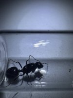 IMG_6348.jpeg