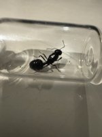 IMG_6345.jpeg