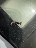 IMG_6322.jpeg