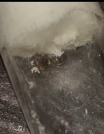 IMG_3210.jpeg