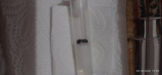 IMG_20251005_175312.jpg