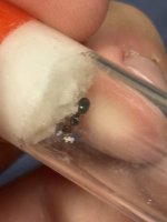 IMG_3216.jpeg