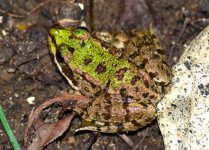 DSC_0084.JPG DSC_0084.JPG