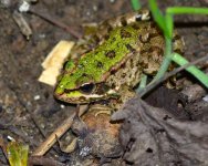 DSC_0086.JPG DSC_0086.JPG