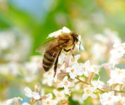 DSC_0073.JPG DSC_0073.JPG