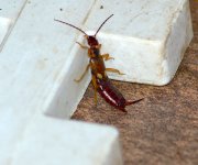 DSC_0075.JPG DSC_0075.JPG