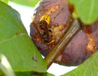 DSC_0077.JPG DSC_0077.JPG