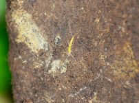 DSC_0632.JPG DSC_0632.JPG