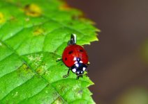 DSC_0645.JPG DSC_0645.JPG