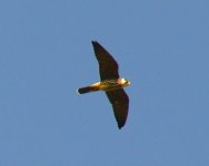 original.jpg original.jpg