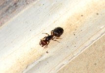 DSC_0104.JPG DSC_0104.JPG