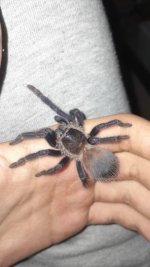 WhatsApp Görsel 2025-10-11 saat 23.14.45_c59ff99b.jpg WhatsApp Görsel 2025-10-11 saat 23.14.45_c59ff99b.jpg