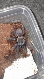 WhatsApp Görsel 2025-10-11 saat 23.16.06_a93e04b1.jpg WhatsApp Görsel 2025-10-11 saat 23.16.06_a93e04b1.jpg