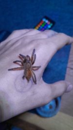 WhatsApp Görsel 2025-10-11 saat 23.16.49_5bd6a24c.jpg WhatsApp Görsel 2025-10-11 saat 23.16.49_5bd6a24c.jpg