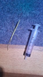 WhatsApp Görsel 2025-10-11 saat 23.18.50_b8fee977.jpg WhatsApp Görsel 2025-10-11 saat 23.18.50_b8fee977.jpg