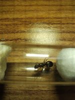 1000015129.jpg 1000015129.jpg