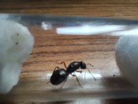 1000015130.jpg 1000015130.jpg