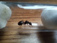 1000015131.jpg 1000015131.jpg