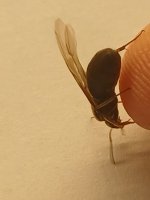 20251012_115700.jpg