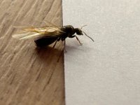 IMG-20251012-WA0079.jpg