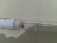 IMG_20251012_213704.jpg