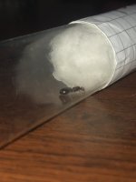 IMG_0942.jpeg