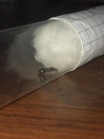 IMG_0941.jpeg