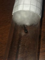 IMG_0939.jpeg