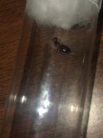 IMG_0938.jpeg