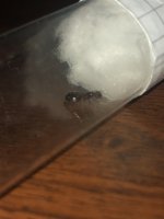 IMG_0932.jpeg