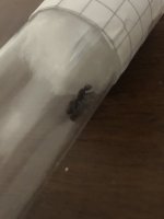 IMG_0925.jpeg