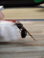 WhatsApp Görsel 2025-10-15 saat 21.27.32_841456d3.jpg