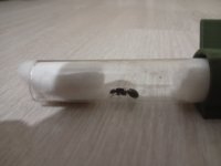 IMG-20251017-WA0000.jpg