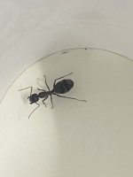 IMG_0449.jpeg