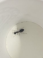 IMG_0448.jpeg