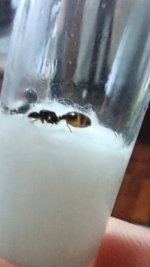 IMG_20251018_115751.jpg