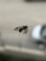 IMG_8430.jpeg