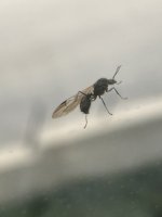 IMG_8433.jpeg