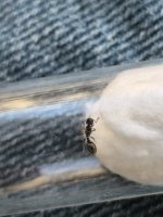 IMG_20251018_164858.jpg