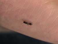 IMG_20251018_171617.jpg