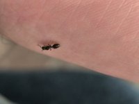 IMG_20251018_171618.jpg