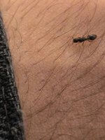 IMG_20251018_171630.jpg