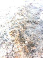 IMG_20251019_125356.jpg